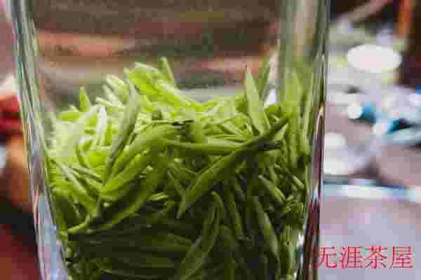 毛尖过期了还能喝吗，时间较长不建议饮用