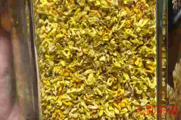 鲜桂花怎么制作桂花茶，桂花阴干的正确做法