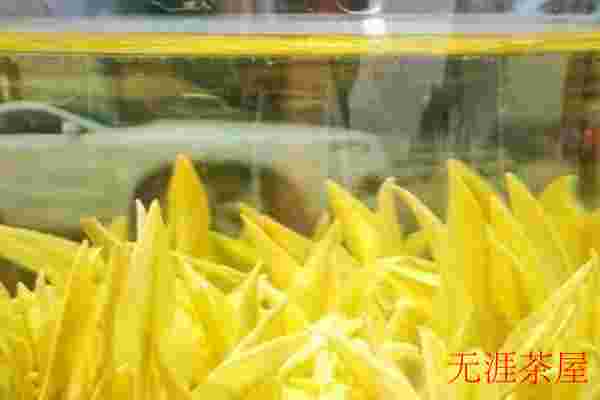黄茶为什么叫黄茶，主要原因在于闷黄工艺
