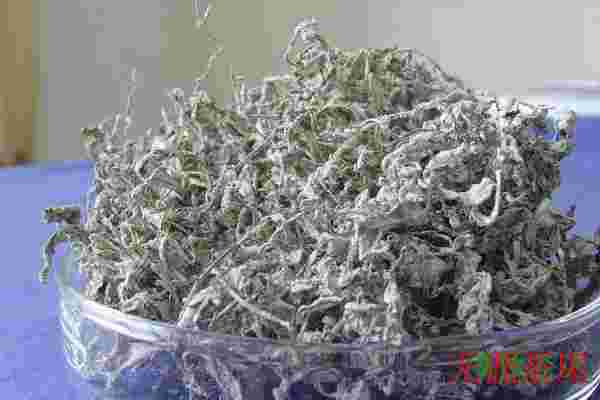 藤茶第一泡要倒掉吗，不需要(藤茶的正确冲泡方式)