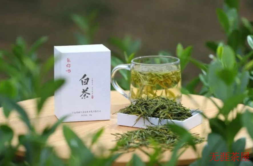 湖南白茶的功效与作用有哪些 湖南安化白茶的好处和益处介绍