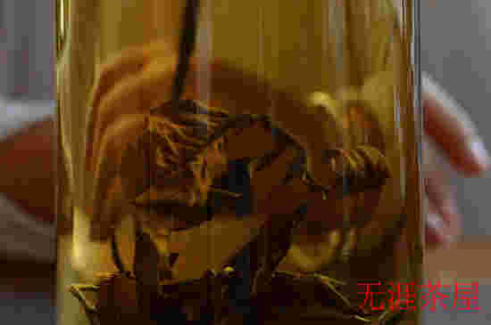 福建白茶VS云南白茶,风味与形态的全面解析