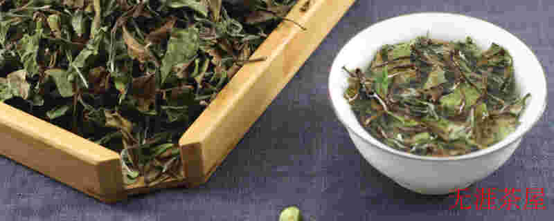 白茶陈化过程中的蜕变之美
