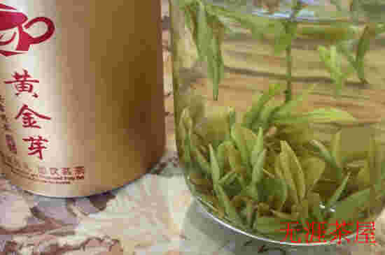 黄金芽茶与白茶的风味对决：哪款茶更胜一筹？