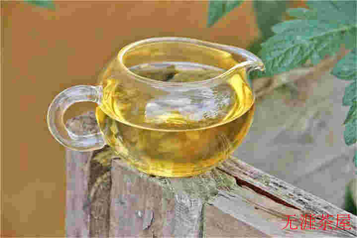 白茶喝得好，胜过冬虫夏草！