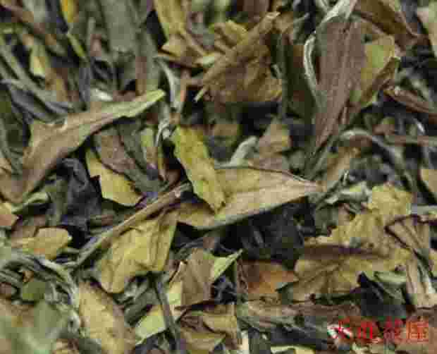 寿眉白茶的产地、特点及功效详解
