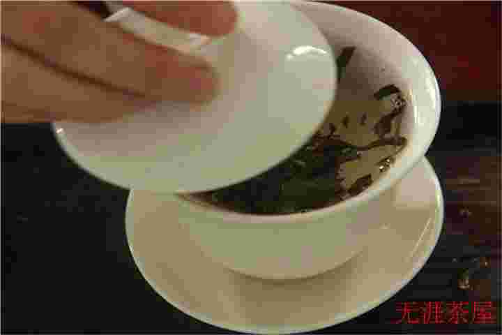 深度解析：老白茶该如何煮与冲泡，提升养生体验