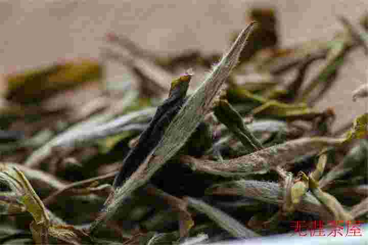 收藏白茶：选饼茶还是散茶？