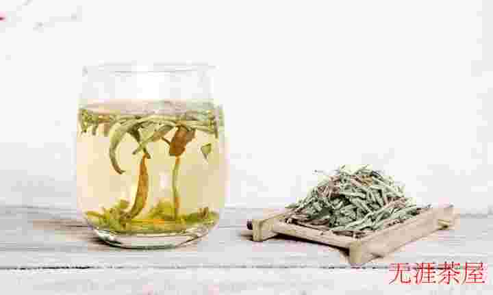 体寒的人能喝白茶吗？