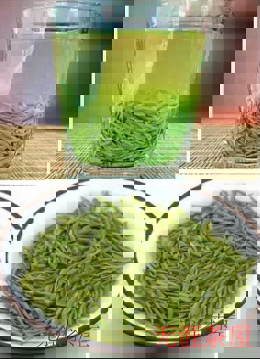 信阳毛尖品种详解 - 选购技巧与生活妙用