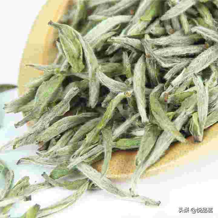 白毫银针是怎样的茶，是绿茶类吗？可以存放很长时间吗？