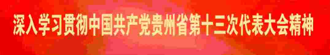 普安：茶学专家“上门授课” 护航古茶产业发展