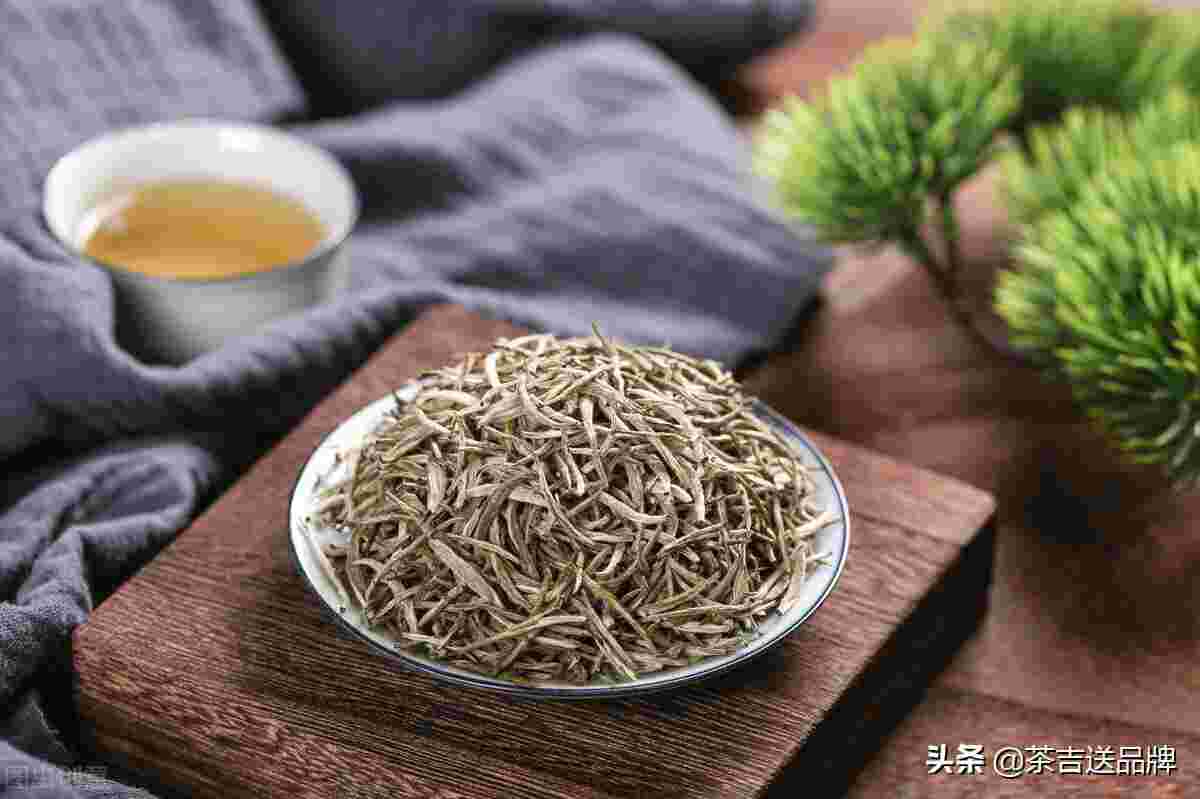 茶百科之君山银针[君山茶叶主要是什么茶]