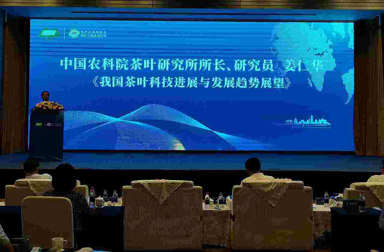 地产茗茶“绿杨春”未来之路如何走？今天扬州一场论坛带来思想的火花