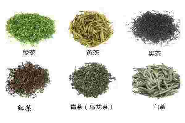 茶 您真的喝懂了吗[井冈翠绿属于什么茶]