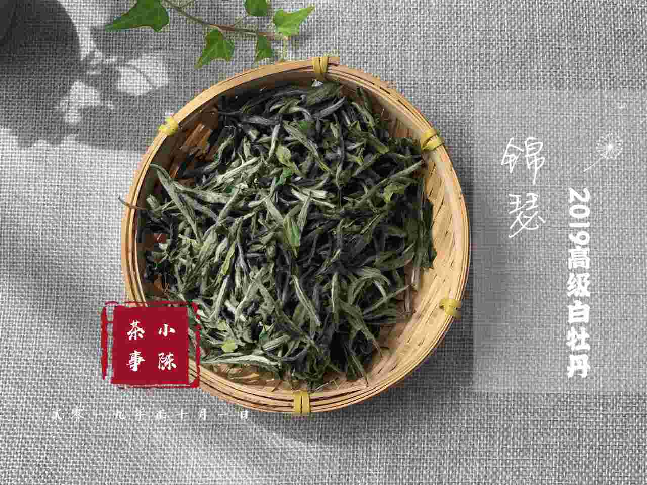 同样是白牡丹，白茶当中的春牡丹和秋牡丹，有何不同？