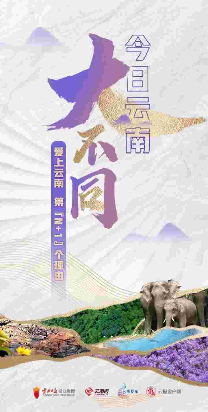 今日云南，大不同 ④[滇红沱茶]