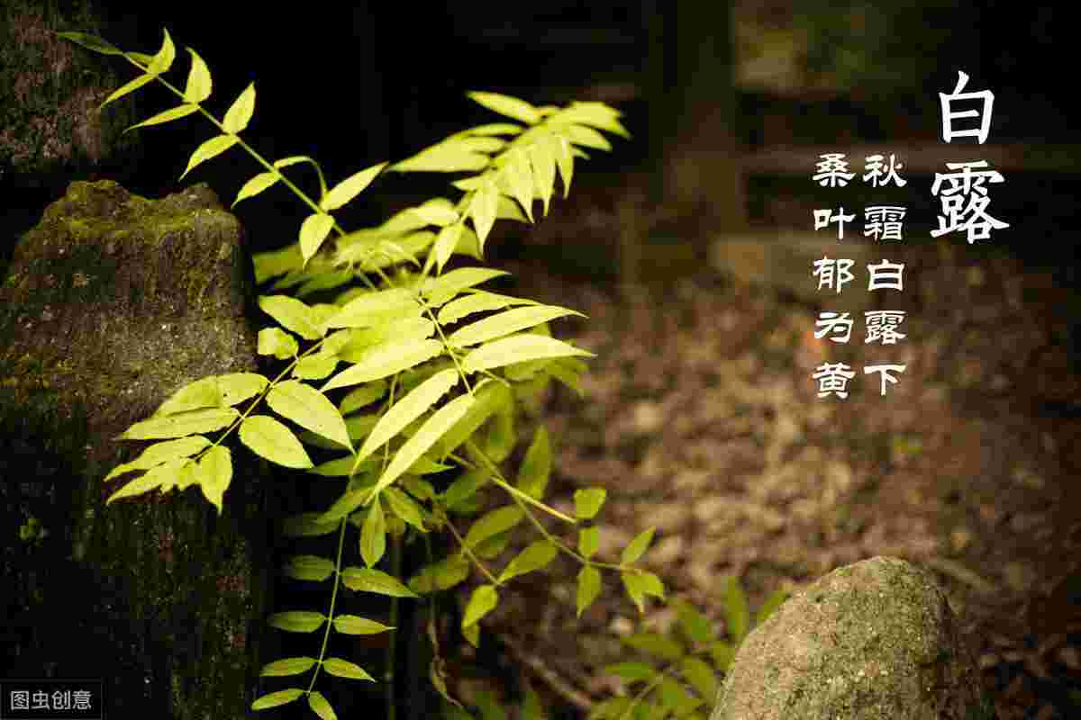 白露至，喝这些比喝热水更防秋燥