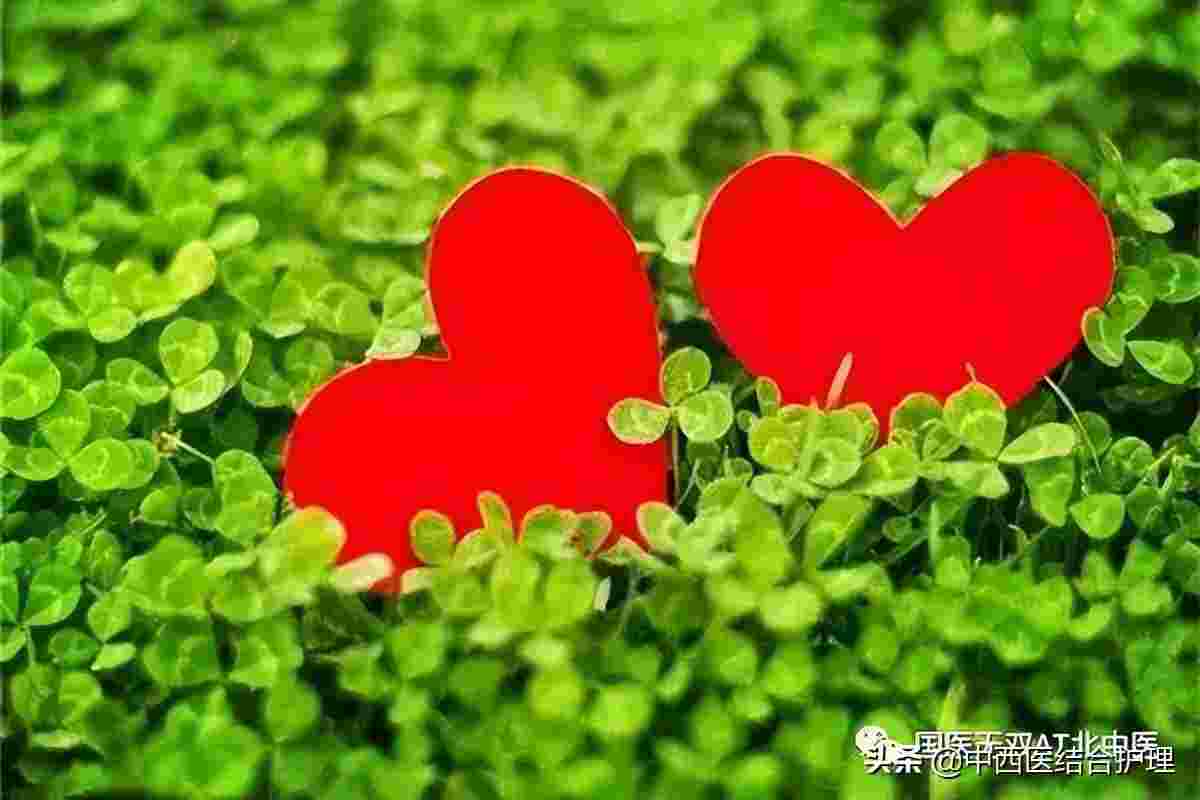 养生有道 | 夏季养心有讲究 避免误区解心忧