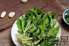 清肺养肺喝什么茶