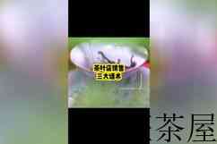 茶叶销售话术900句